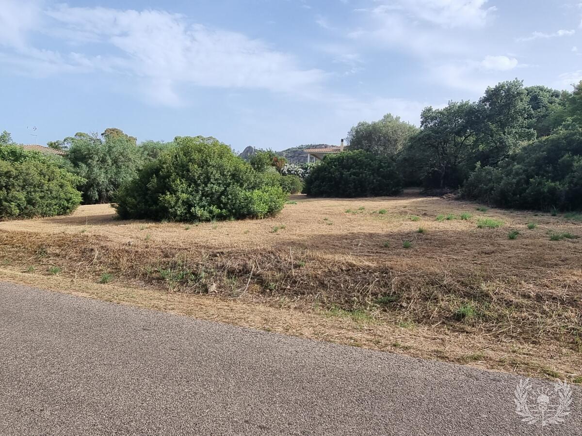 Building plot of 2,000 m² for sale.